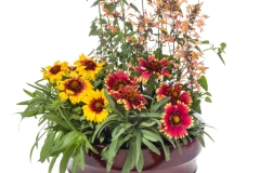 GFB-FIRST-LIGHT-COMPATIBLES-BUTTERFLY-ALERT-MIX