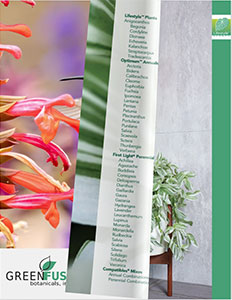 Click to view the interactive GFB Catalog online!